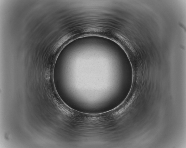 X0000096941017200802151210