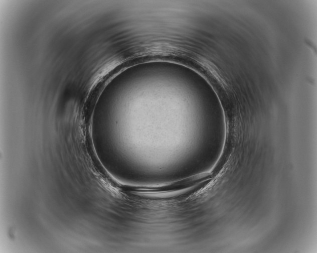 X0000096941018200802151210