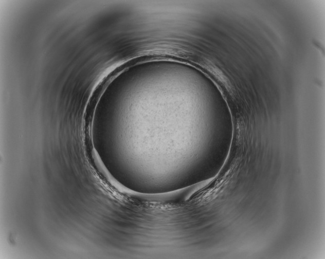 X0000096941020200802151210