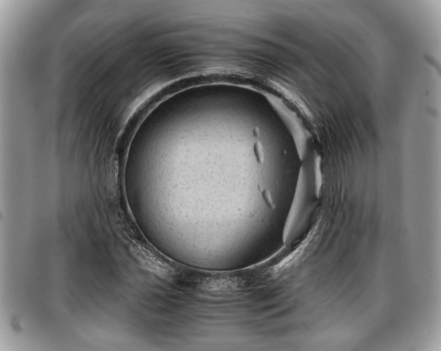 X0000096941021200802151210