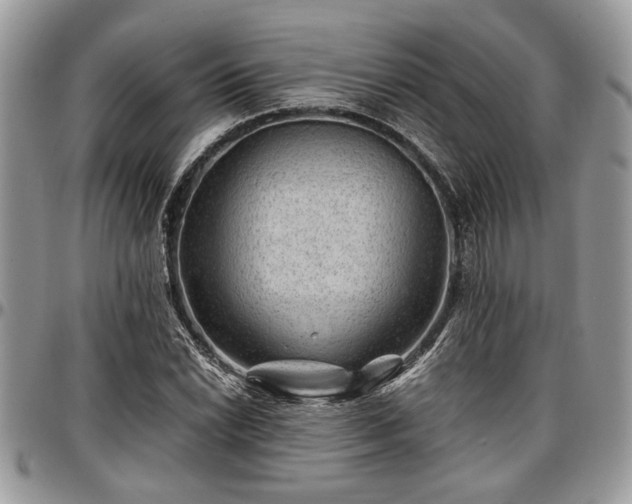 X0000096941022200802151210