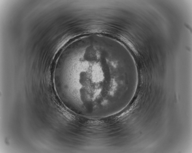 X0000096941023200802151210