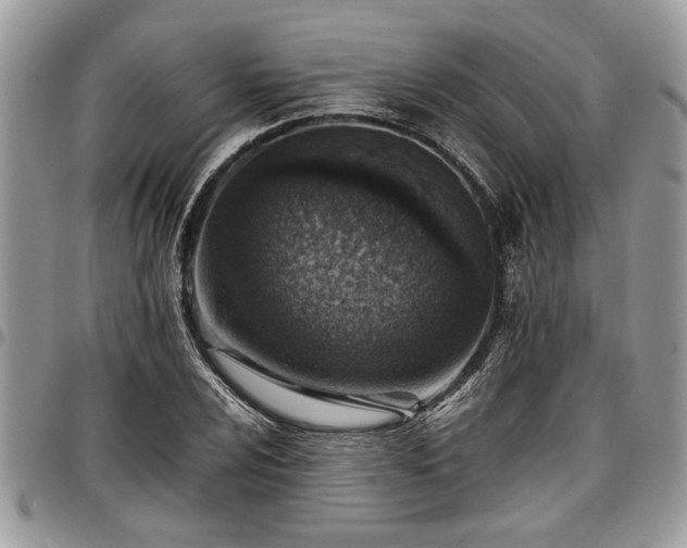 X0000096941024200802151210