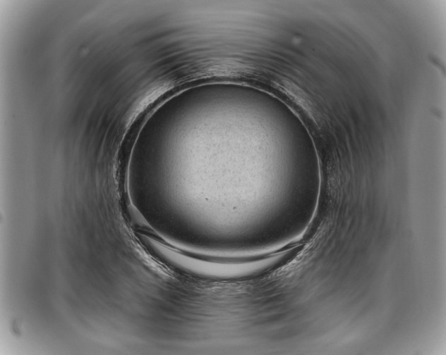 X0000096941026200802151210