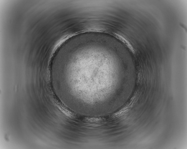 X0000096941027200802151210