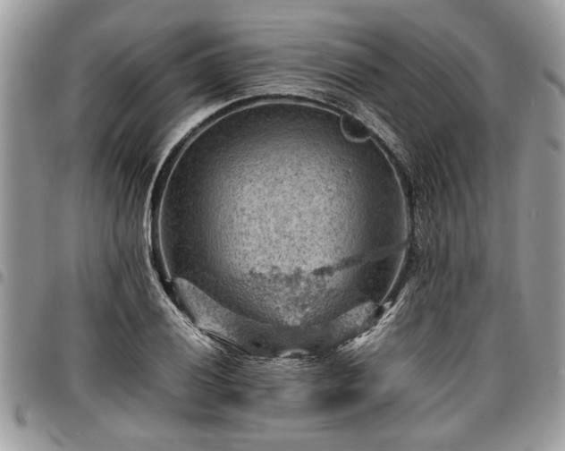 X0000096941028200802151210
