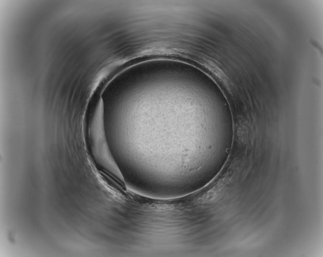 X0000096941030200802151210