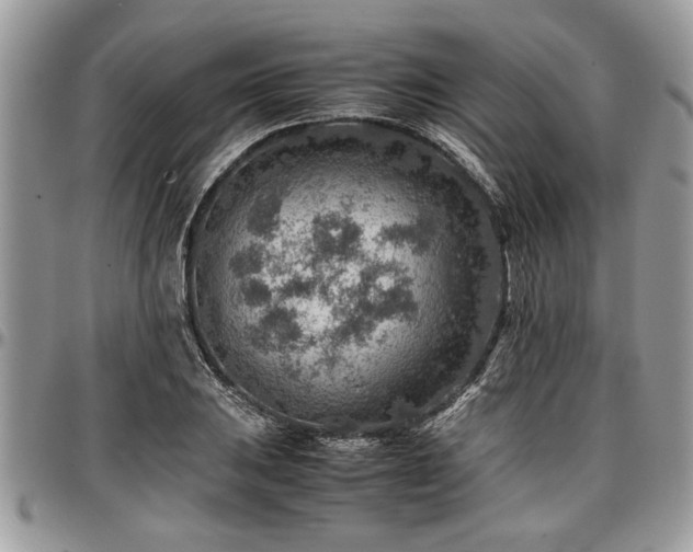 X0000096941031200802151210