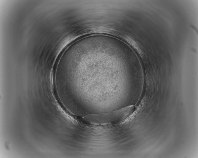 X0000096941032200802151210