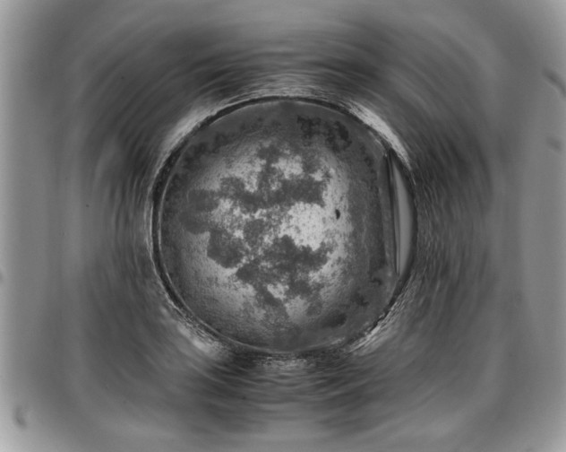 X0000096941035200802151210