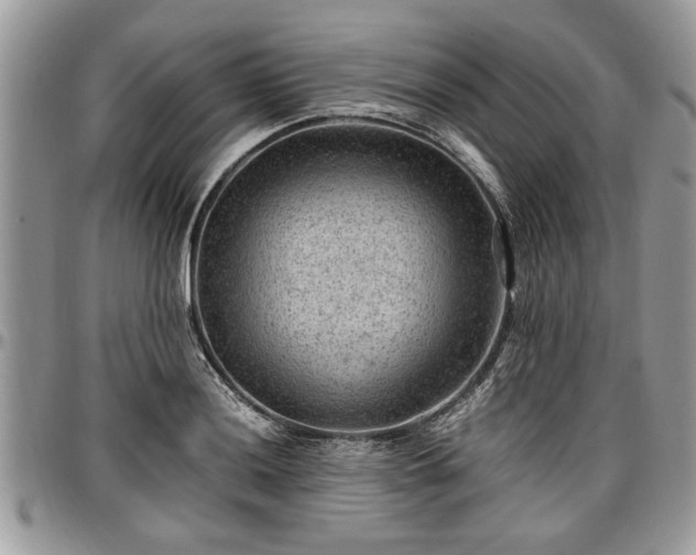 X0000096941036200802151210