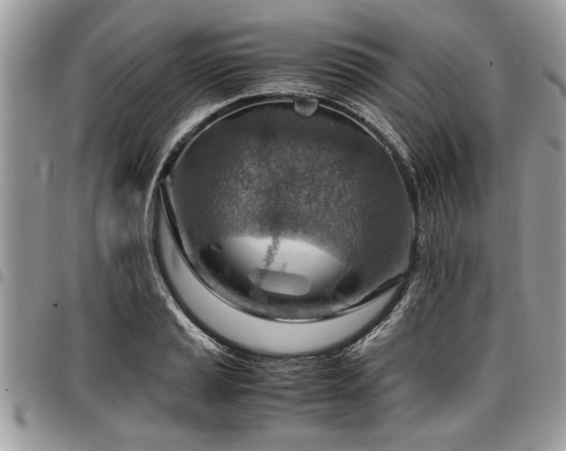 X0000096941037200802151210