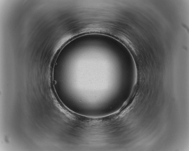 X0000096941038200802151210