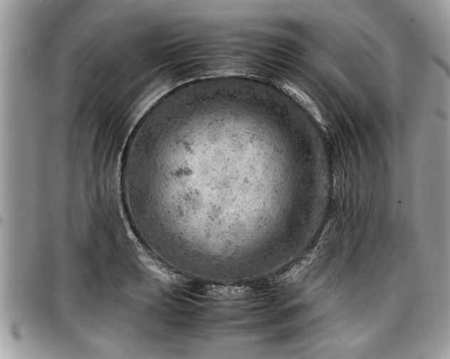 X0000096941039200802151210