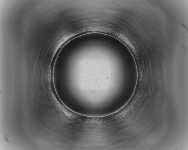 X0000096941040200802151210