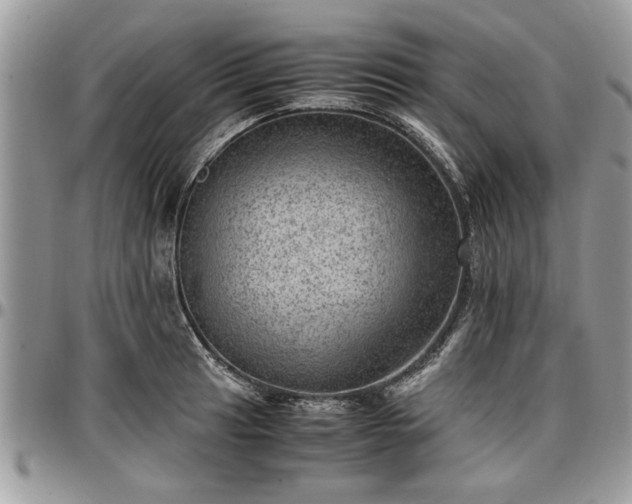 X0000096941041200802151210