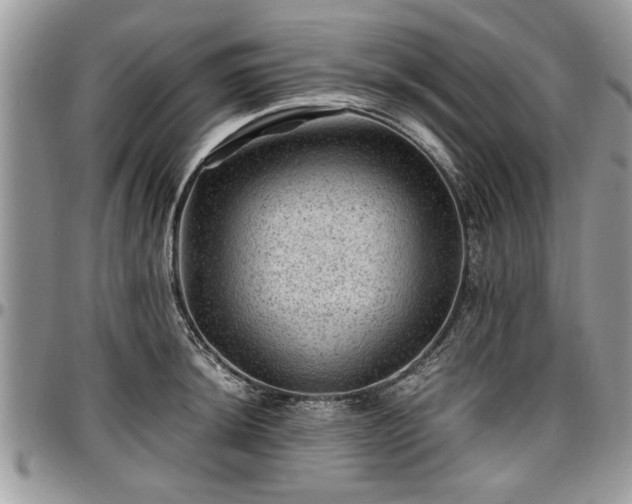 X0000096941044200802151210