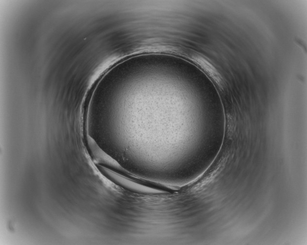 X0000096941046200802151210