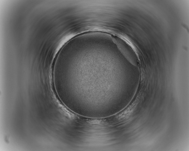 X0000096941048200802151210