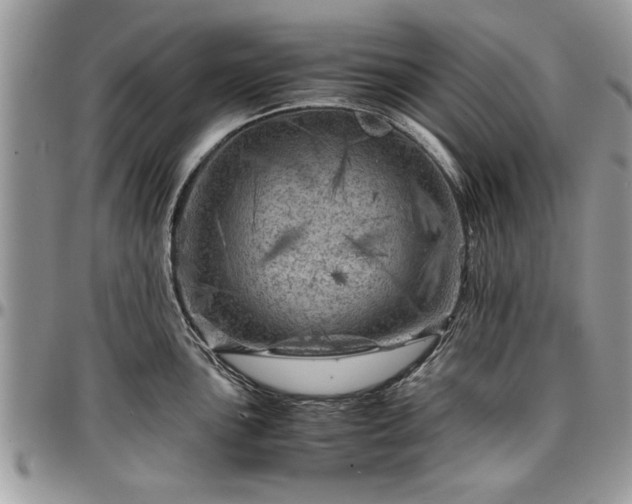 X0000096941051200802151210