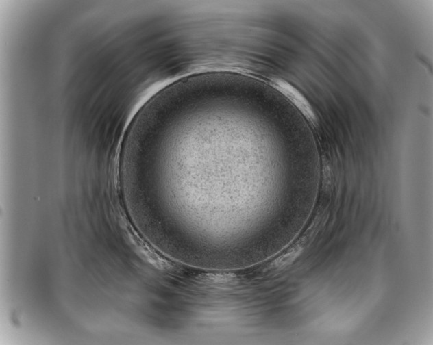 X0000096941052200802151210