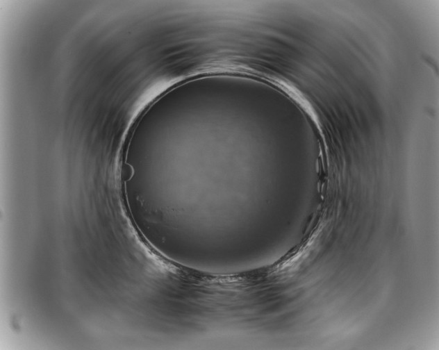 X0000096941053200802151210