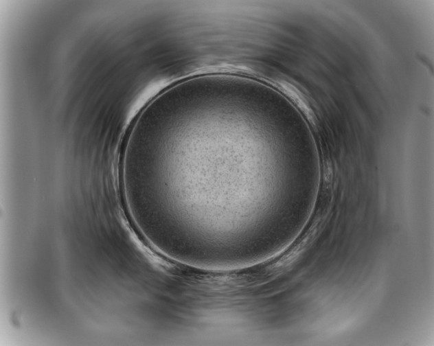 X0000096941054200802151210