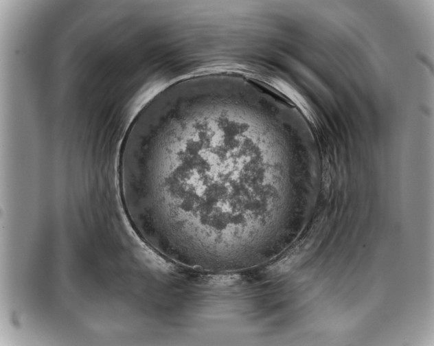 X0000096941055200802151210