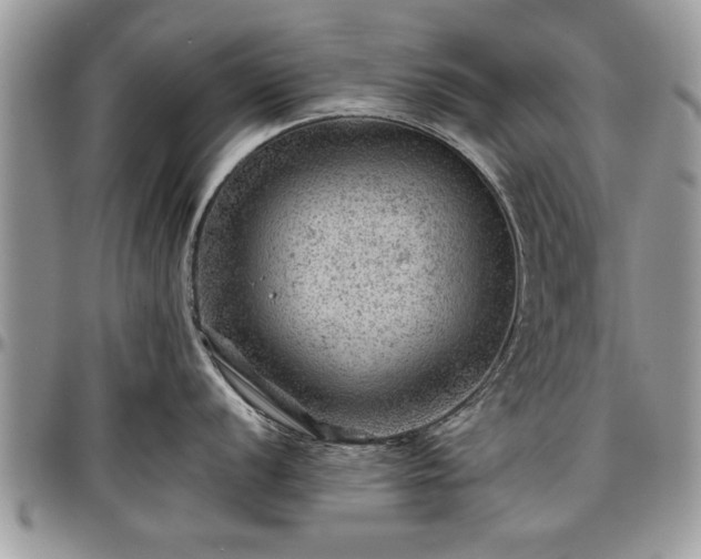X0000096941056200802151210
