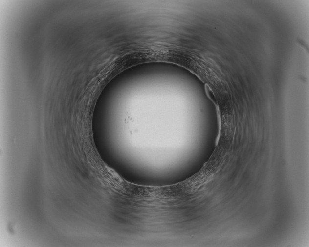 X0000096941057200802151210