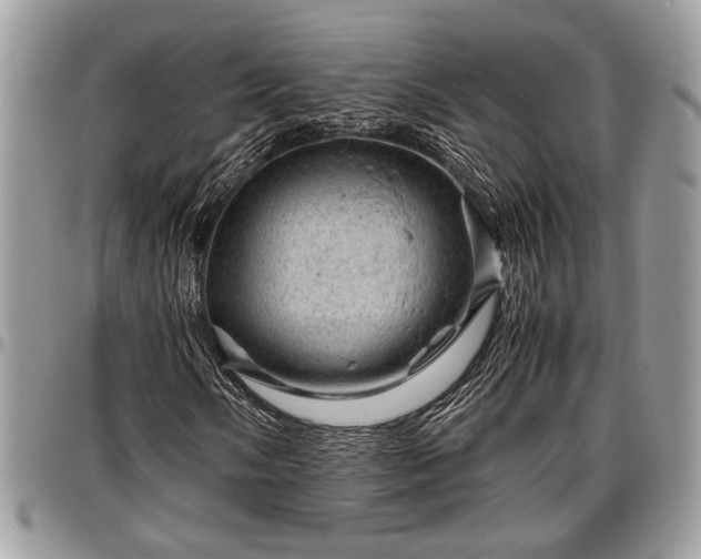 X0000096941058200802151210