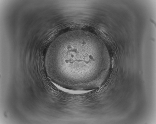 X0000096941059200802151210