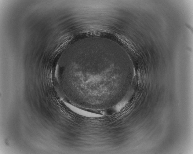 X0000096941060200802151210
