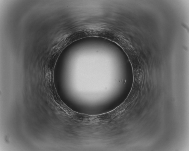 X0000096941061200802151210