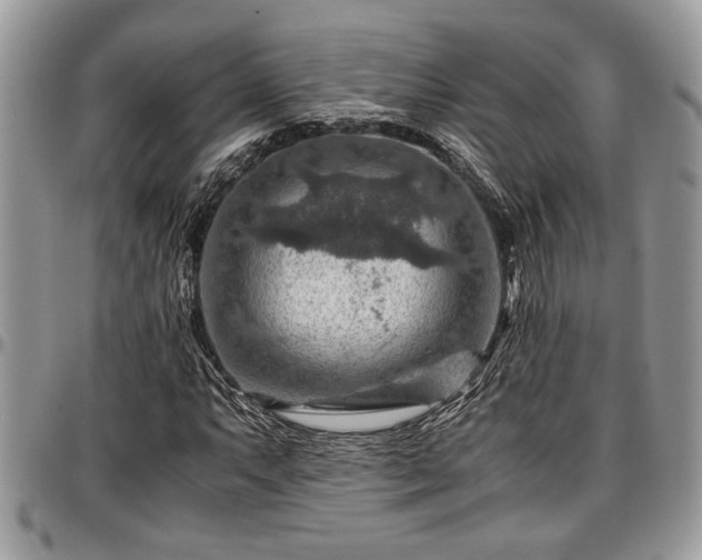 X0000096941063200802151210