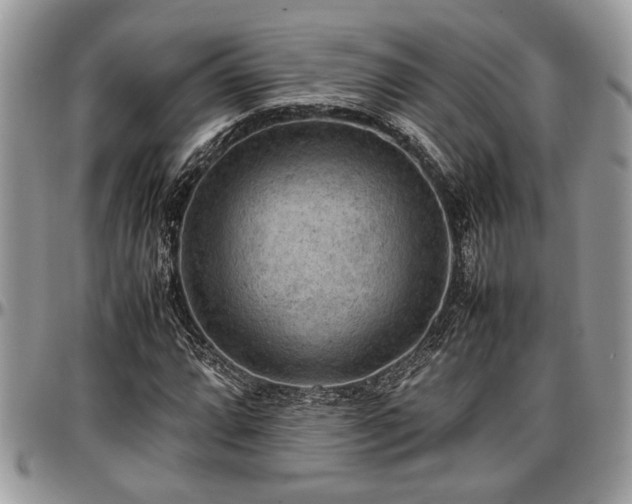 X0000096941064200802151210