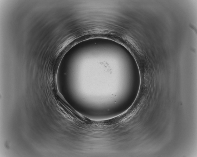 X0000096941065200802151210
