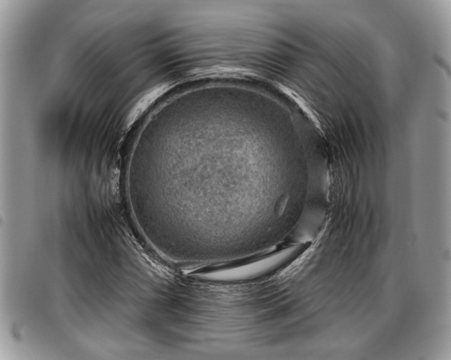 X0000096941066200802151210