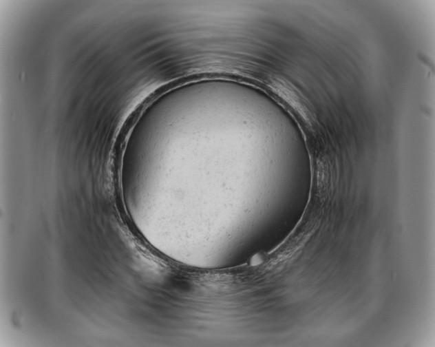 X0000096941068200802151209