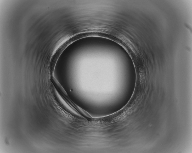 X0000096941069200802151209