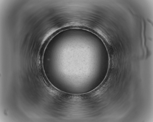 X0000096941070200802151209