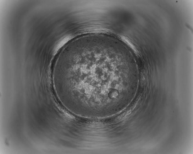 X0000096941071200802151209