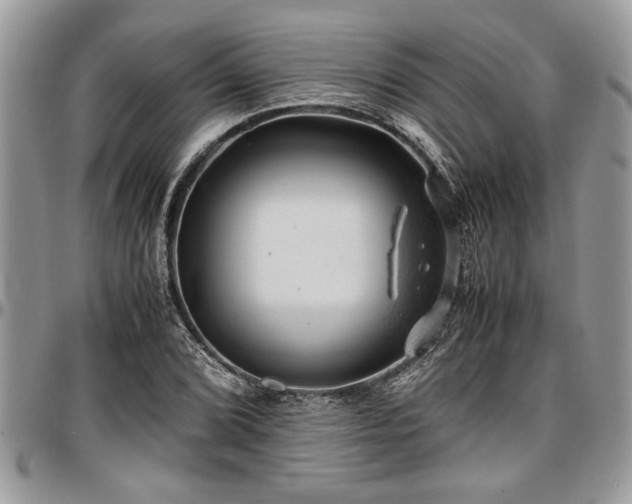 X0000096941072200802151209