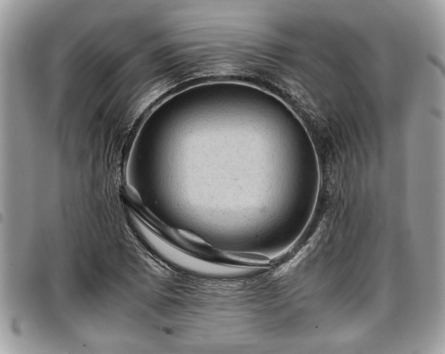 X0000096941073200802151209