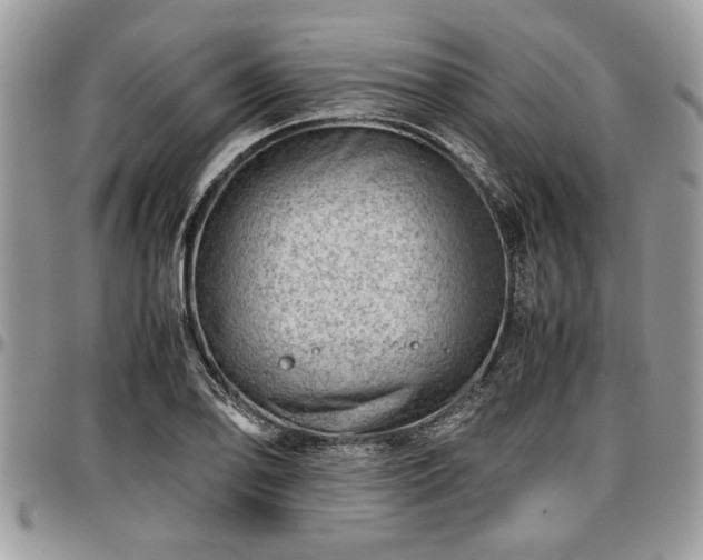 X0000096941078200802151209