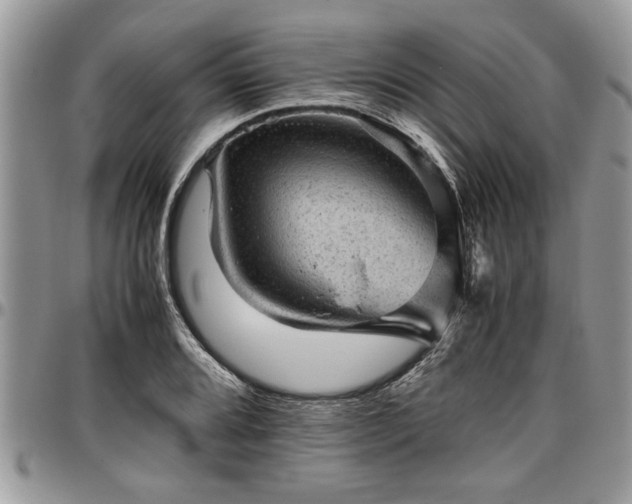 X0000096941080200802151209