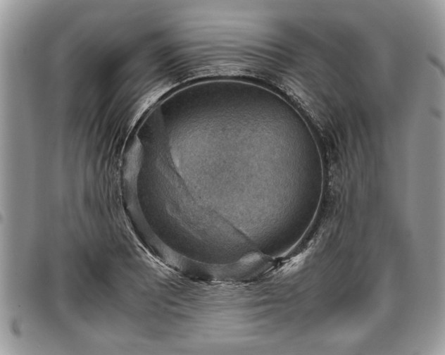 X0000096941081200802151209