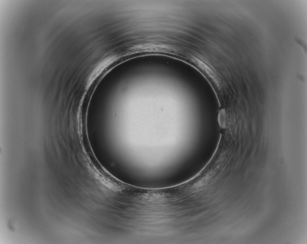 X0000096941082200802151209
