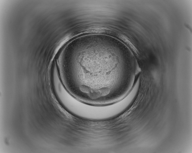 X0000096941083200802151209