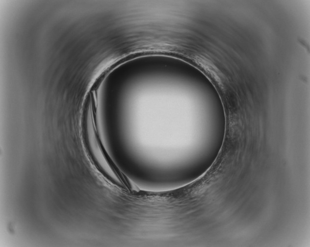 X0000096941085200802151209
